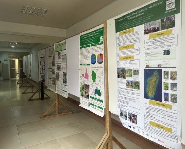 MAMBO showcases advances in plant community analysis at AETFAT 2025