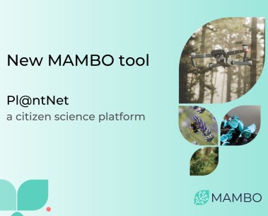 MAMBO's work on plant community analysis used to deploy a new web tool