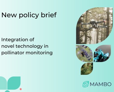 MAMBO's third policy brief