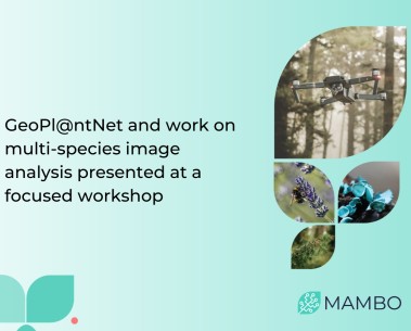 MAMBO present at a vegetation characterisation workshop