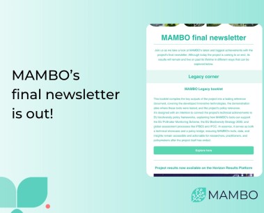 MAMBO's final newsletter is out